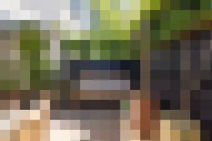 Ogier van Cralingenpark 72 Rotterdam thumbnail 42