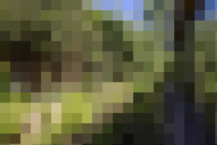 Ogier van Cralingenpark 72 Rotterdam thumbnail 44