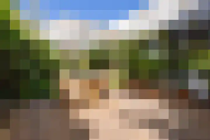 Ogier van Cralingenpark 72 Rotterdam thumbnail 5