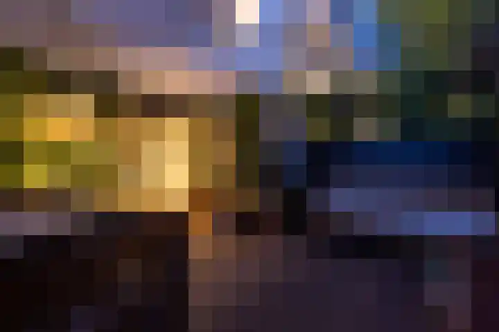 Ogier van Cralingenpark 72 Rotterdam thumbnail 50