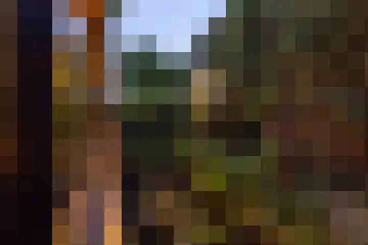 Ogier van Cralingenpark 72 Rotterdam thumbnail 51