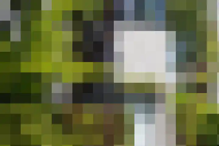 Ogier van Cralingenpark 72 Rotterdam thumbnail 6