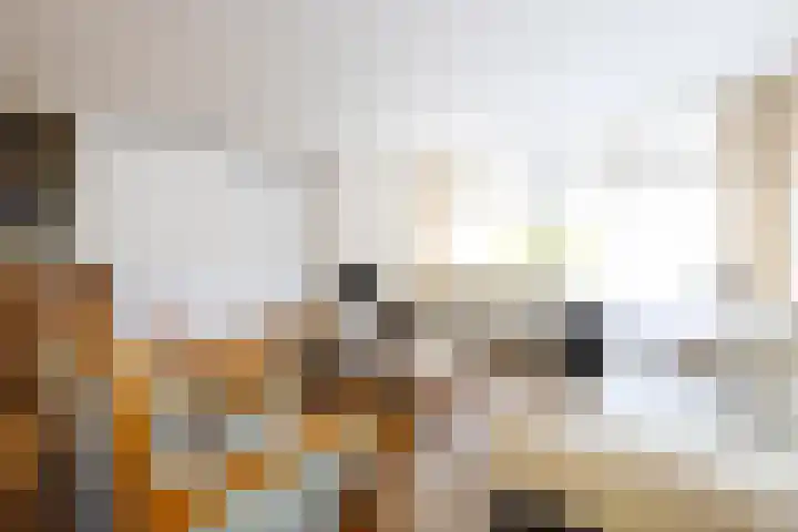 Ogier van Cralingenpark 72 Rotterdam thumbnail 8