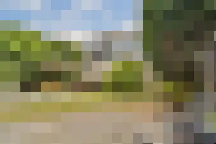 Ogier van Cralingenpark 90 Rotterdam thumbnail 17