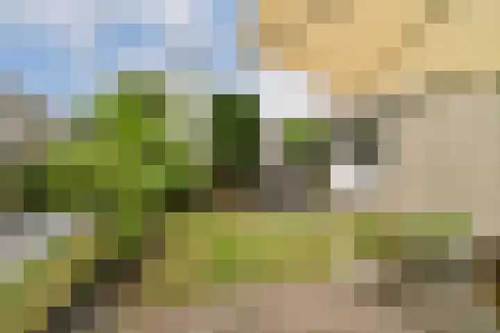 Ogier van Cralingenpark 90 Rotterdam thumbnail 19