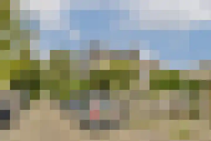 Ogier van Cralingenpark 90 Rotterdam thumbnail 31