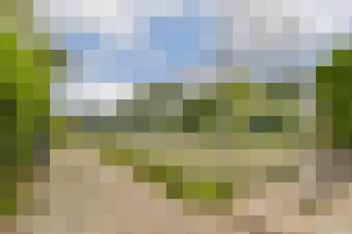 Ogier van Cralingenpark 90 Rotterdam thumbnail 32