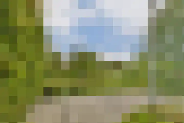 Ogier van Cralingenpark 90 Rotterdam thumbnail 33