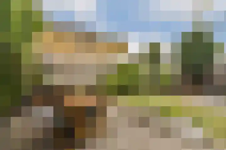 Ogier van Cralingenpark 90 Rotterdam thumbnail 4