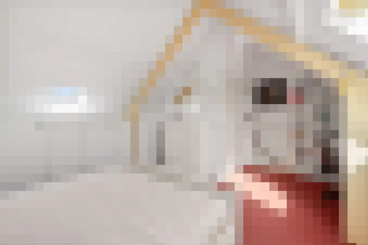 Ogierpad 20 Amersfoort thumbnail 30