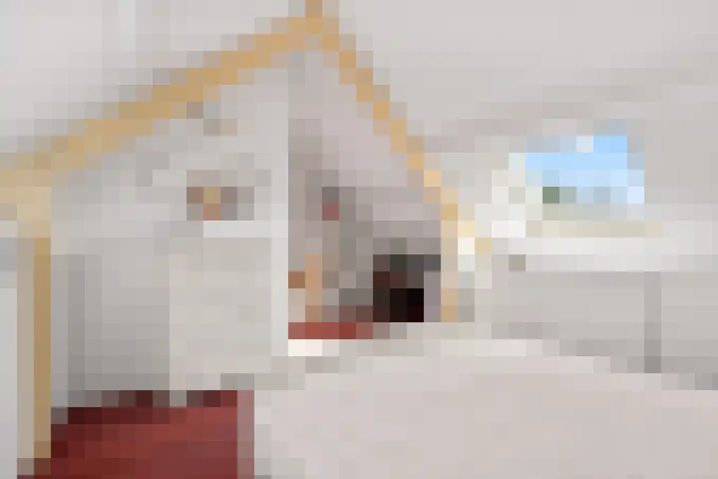 Ogierpad 20 Amersfoort thumbnail 31