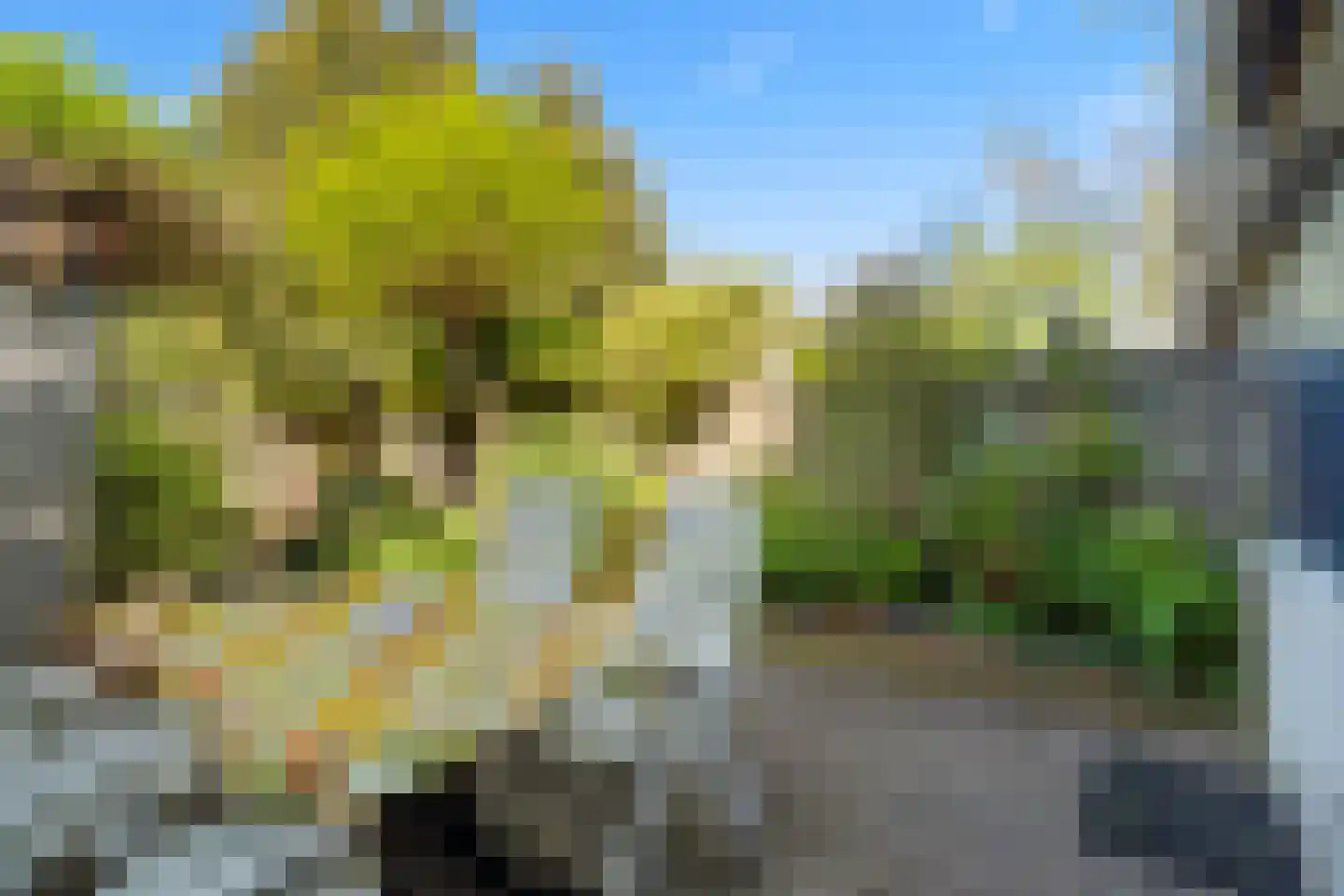 Ogierpad 20 Amersfoort thumbnail 36