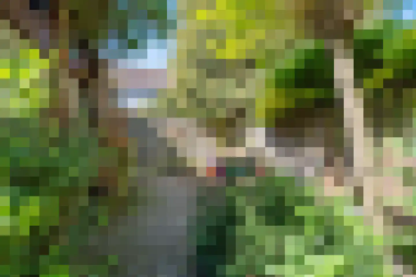 Ogierpad 20 Amersfoort thumbnail 37