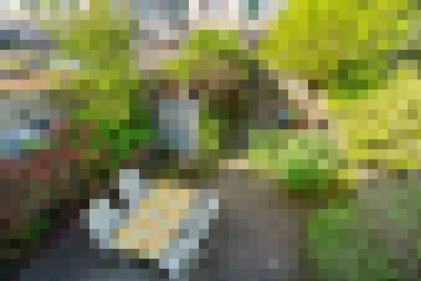 Ogierpad 20 Amersfoort thumbnail 41