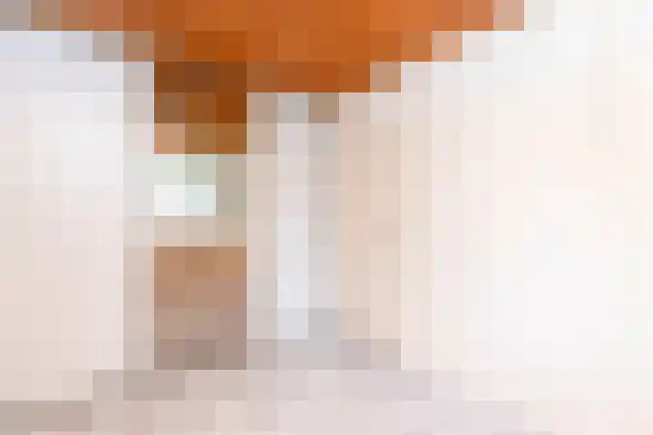 Ogierssingel 113 Rotterdam thumbnail 10