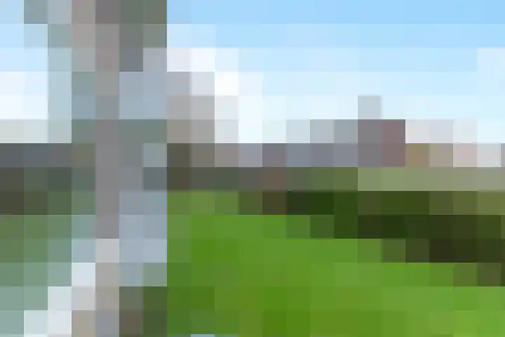 Ogierssingel 113 Rotterdam thumbnail 16