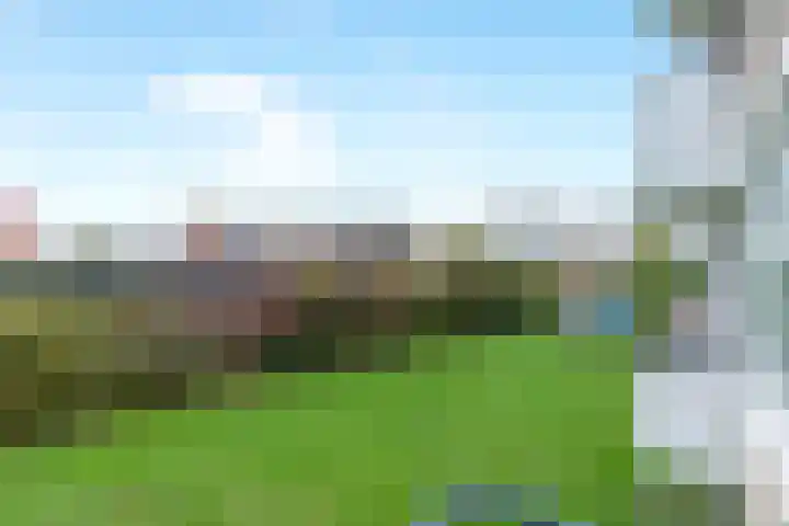 Ogierssingel 113 Rotterdam thumbnail 17