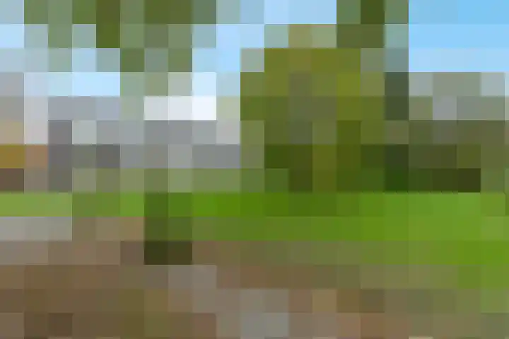 Ogierssingel 113 Rotterdam thumbnail 18