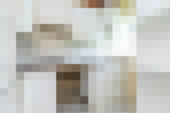 Ogierssingel 113 Rotterdam thumbnail 7