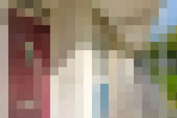 Ogierssingel 115 Rotterdam thumbnail 10