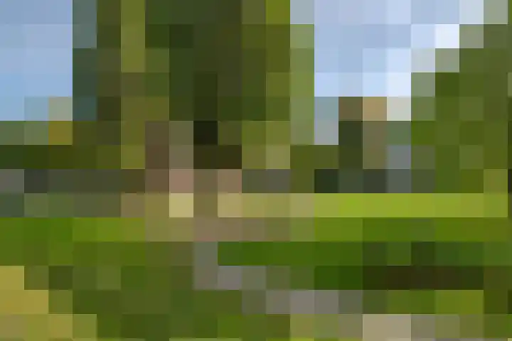 Ogierssingel 115 Rotterdam thumbnail 22