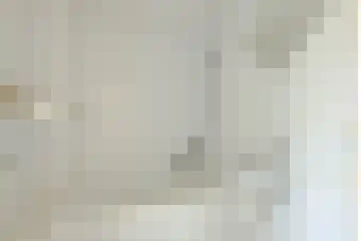 Ogierssingel 115 Rotterdam thumbnail 4