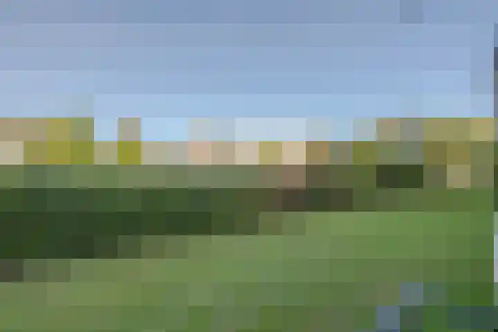 Ogierssingel 115 Rotterdam thumbnail 5
