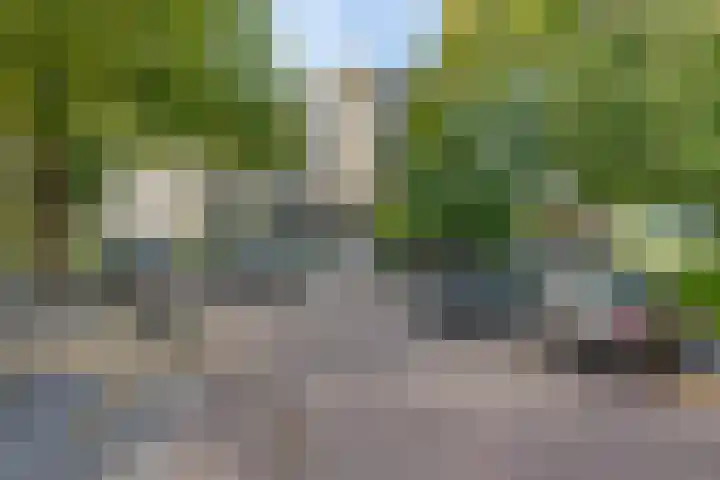 Ogierssingel 115 Rotterdam thumbnail 6