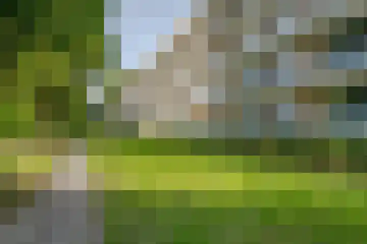 Ogierssingel 115 Rotterdam thumbnail 7