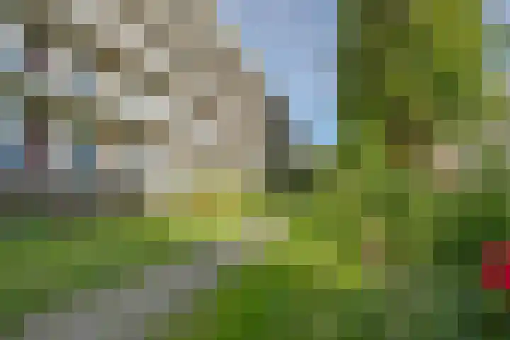 Ogierssingel 115 Rotterdam thumbnail 8