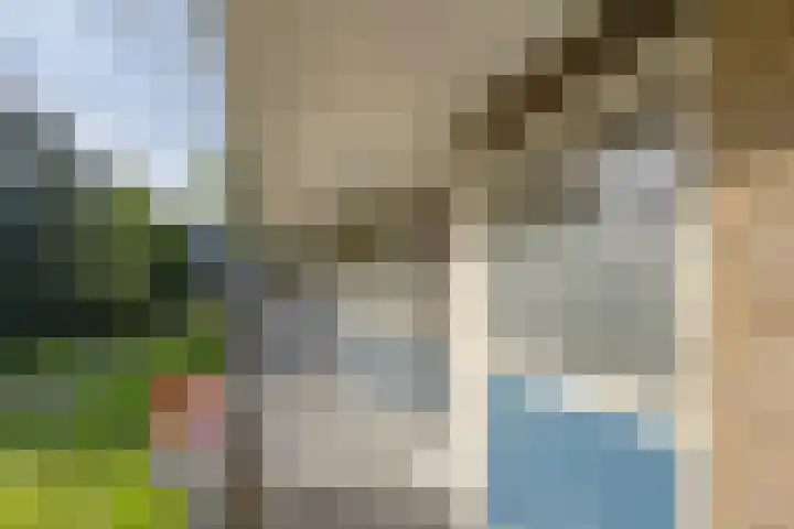 Ogierssingel 115 Rotterdam thumbnail 9