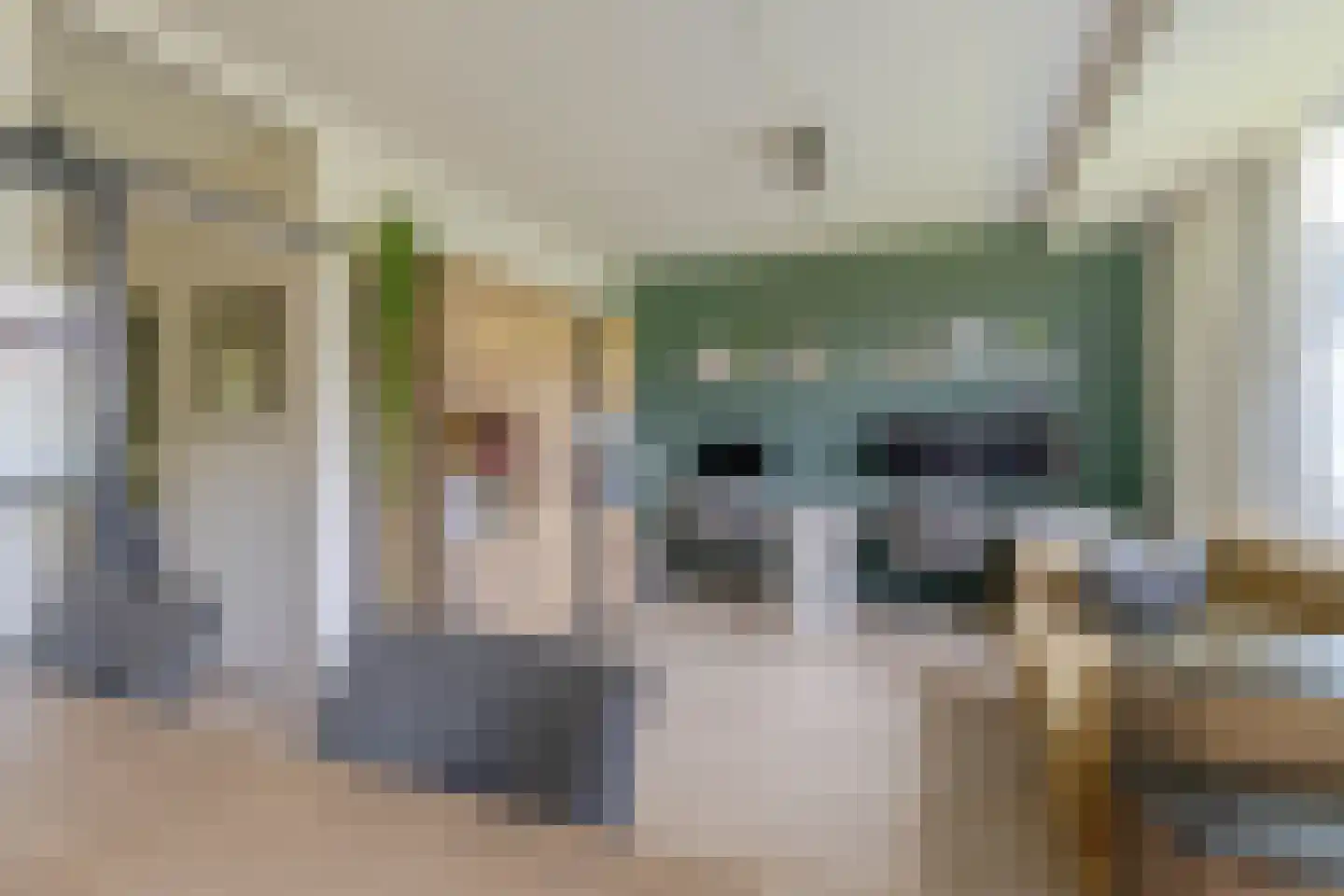 Ogierssingel 125 Rotterdam thumbnail 12