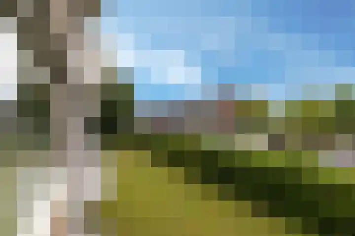 Ogierssingel 139 Rotterdam thumbnail 14