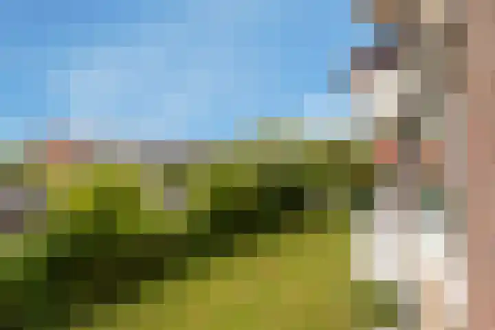 Ogierssingel 139 Rotterdam thumbnail 15