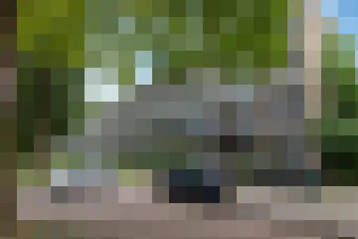 Ogierssingel 139 Rotterdam thumbnail 17