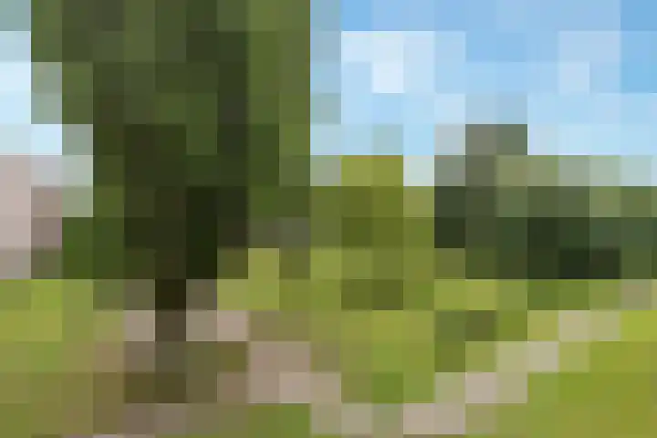 Ogierssingel 139 Rotterdam thumbnail 5