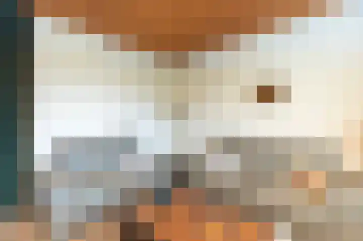 Ogierssingel 139 Rotterdam thumbnail 7