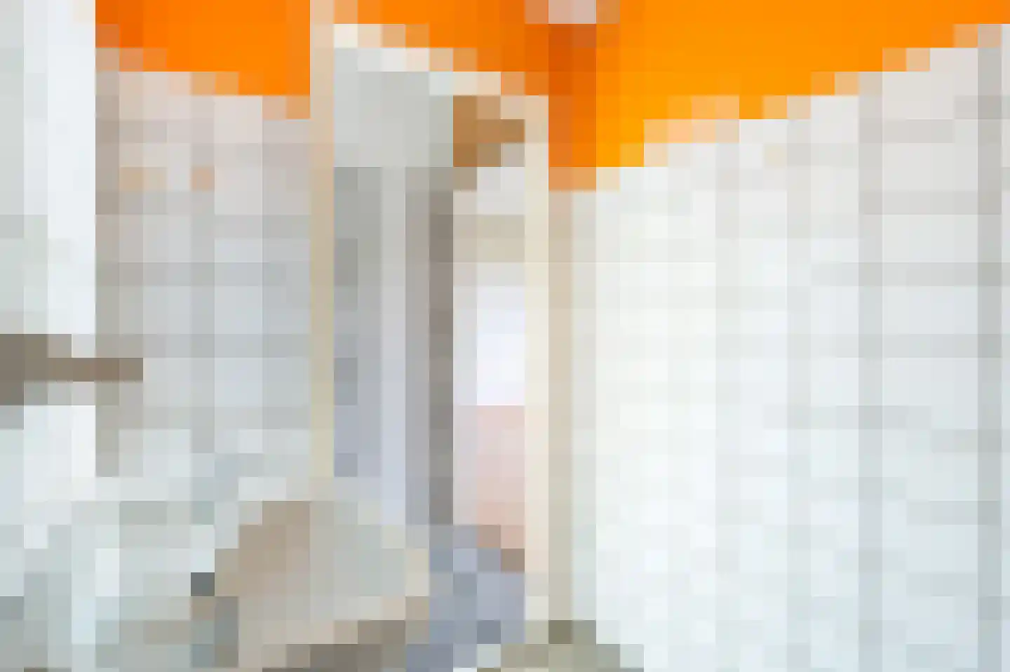 Ogierssingel 149 Rotterdam thumbnail 14