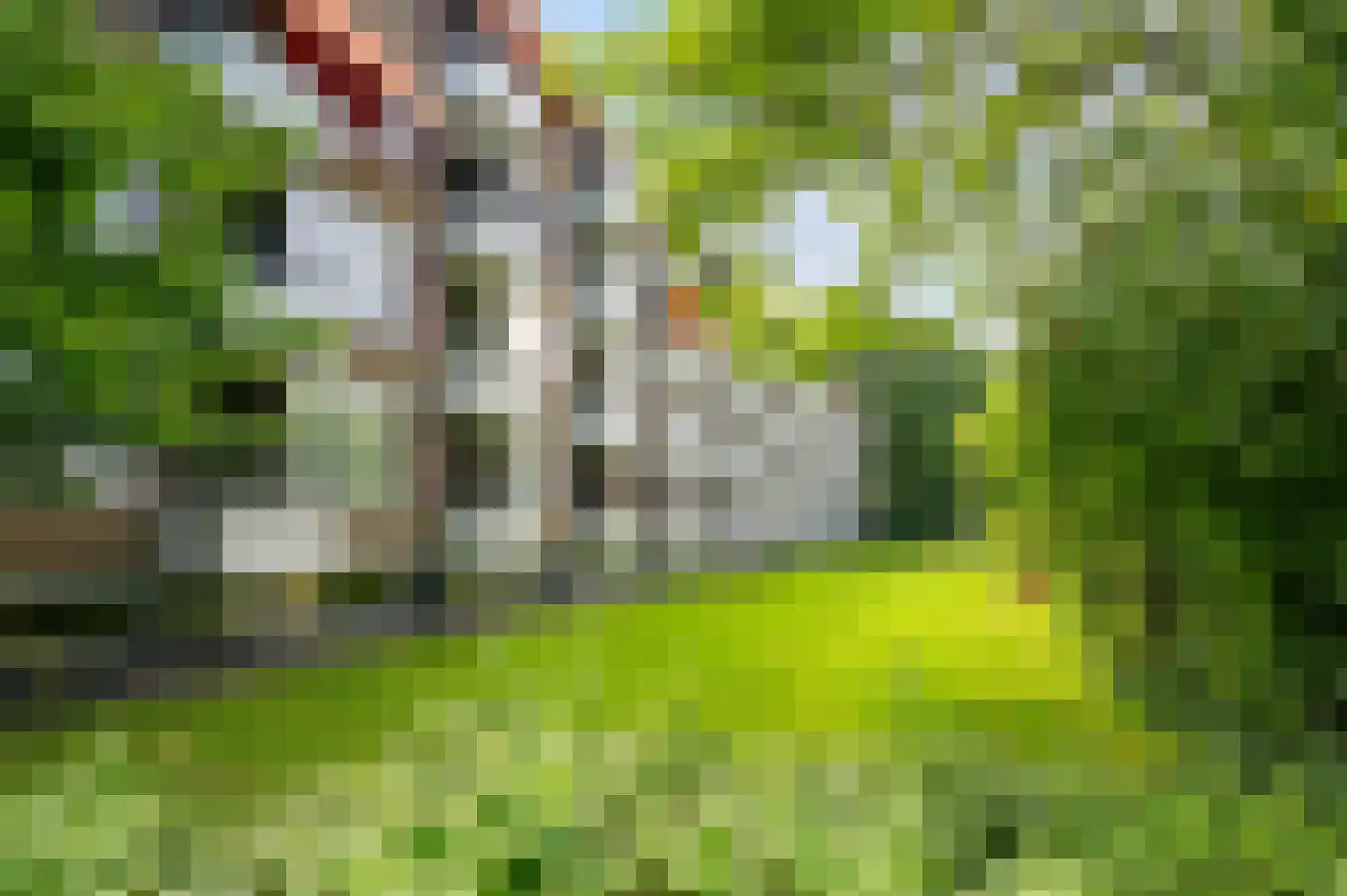 Ogierssingel 149 Rotterdam thumbnail 16