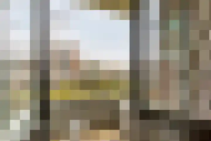 Ogierssingel 155 Rotterdam thumbnail 12