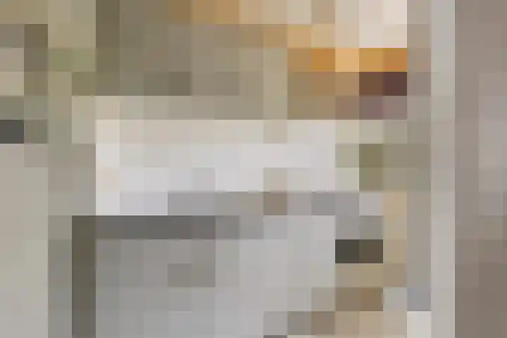 Ogierssingel 155 Rotterdam thumbnail 14