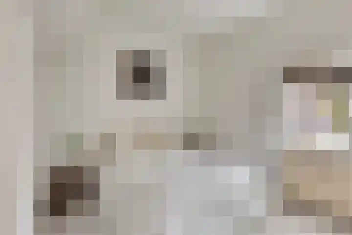 Ogierssingel 155 Rotterdam thumbnail 16