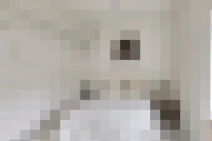 Ogierssingel 155 Rotterdam thumbnail 17
