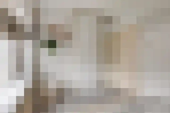 Ogierssingel 155 Rotterdam thumbnail 18
