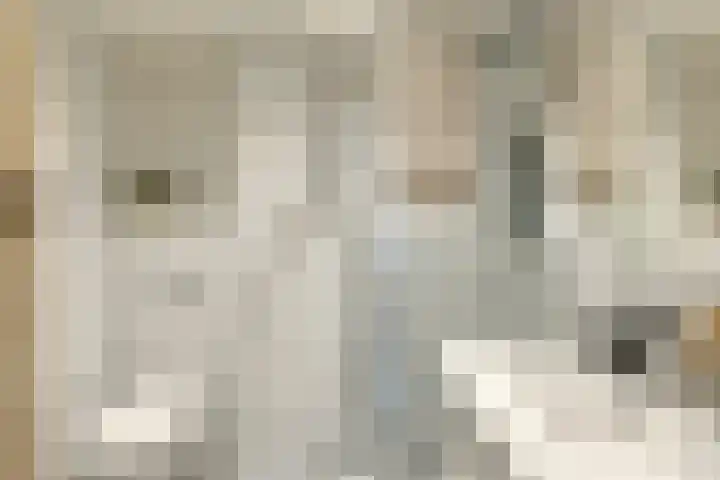 Ogierssingel 155 Rotterdam thumbnail 20