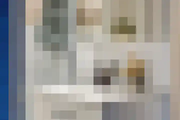 Ogierssingel 155 Rotterdam thumbnail 24
