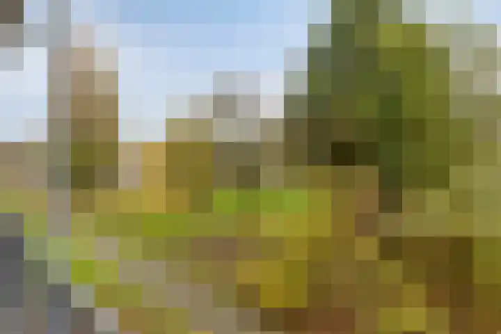 Ogierssingel 155 Rotterdam thumbnail 25