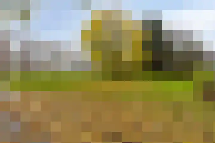 Ogierssingel 155 Rotterdam thumbnail 26