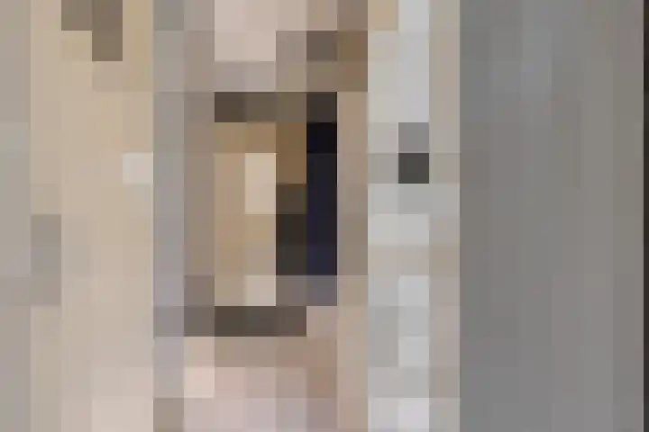 Ogierssingel 155 Rotterdam thumbnail 4
