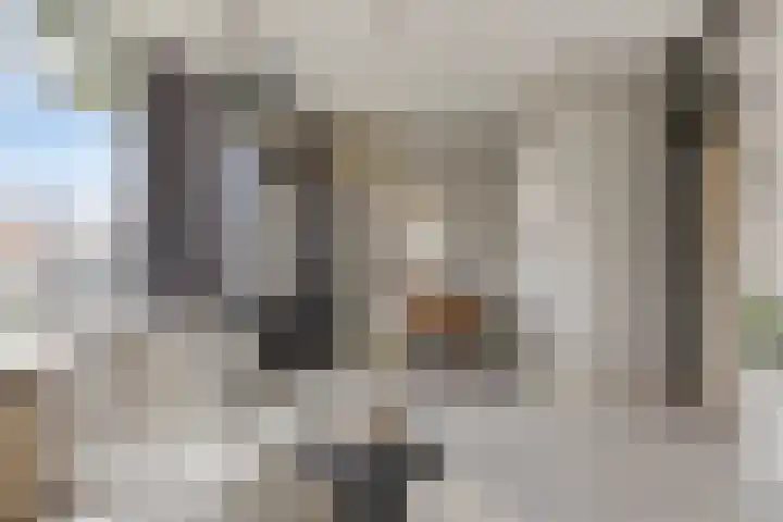 Ogierssingel 155 Rotterdam thumbnail 8